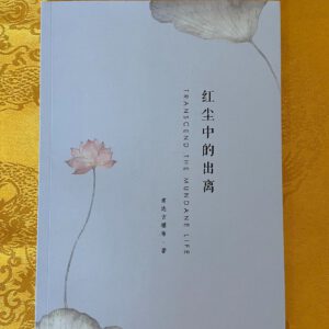 P1-107 红尘中的出离