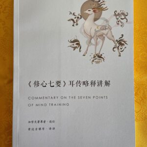 P1-316《修心七要》 耳传略释 讲解