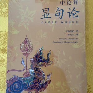 P1- 中论释 显句论