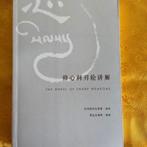 P1-319 修心利刃论讲解