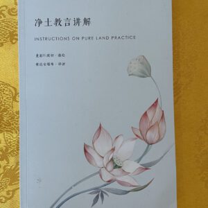 P1-259 净土教言讲解