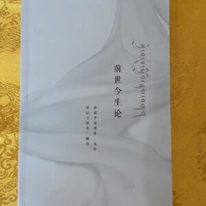 P1- 32 前世今生论