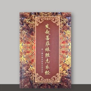 S1·12_发起菩萨殊胜志乐经