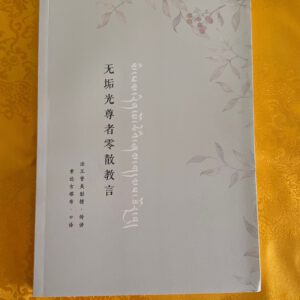 P1-89 无垢光尊者零散教言