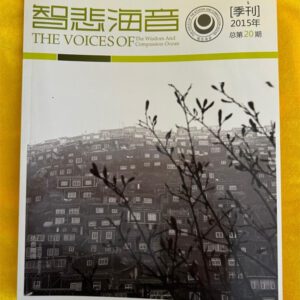 A1-智悲海音-20期