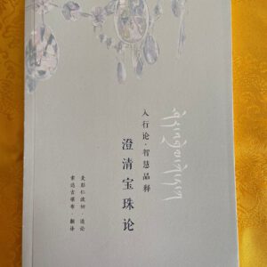 P1-6 入行论·智慧品释-澄清宝珠论