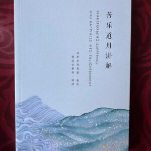 P1- 苦乐道用讲解