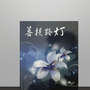P1B- 菩提路灯