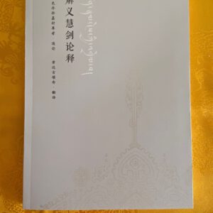 P1-29 解义慧剑论释