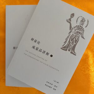 P1-181 释量论 成量品讲解1-2
