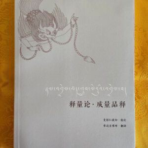 P1-31 释量论 成量品释