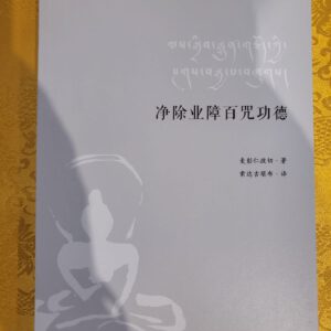 P1-18 净除业障百咒功德