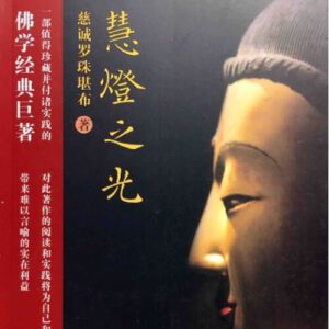 P1 慧灯之光 （全套10册）