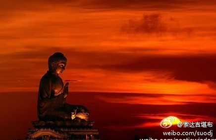 在行动中思考，在生活中修行~ 