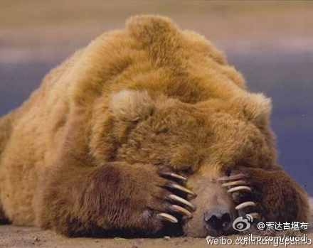 很多人之所以自杀，主要是没认清这个世界的本质。要知道，这个世界本来就充满痛苦，不管你有没有钱或爱情，...