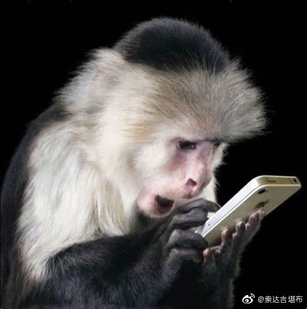 整天玩手机，不好好修行，也不好好学习，宝贵人身就这么浪费了。再这样下去，眼也坏了，心也乱了。我们可以...
