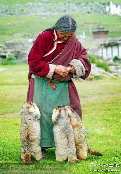 一个人的贫穷，并不一定是身无分文、衣不蔽体、食不果腹，而是内心中缺少爱，自己不愿意关心别人，所以也不...